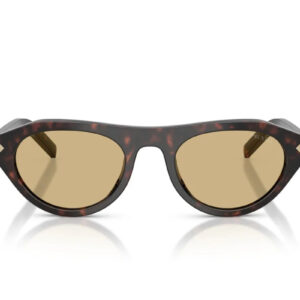 Premium trendy Sunglasses 8856