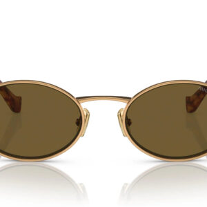 Trendy Chic Fashion Sunglasses 8843