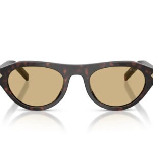 Lunettes de Soleil Tendance Premium Trendy 8856