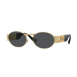 Lunettes de Soleil Monture Or Designer 6618